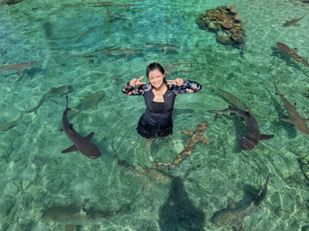 Karimun Trip Laut