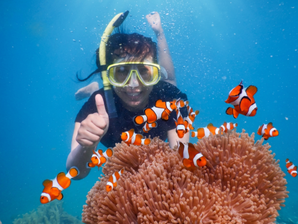 Karimun Trip Laut
